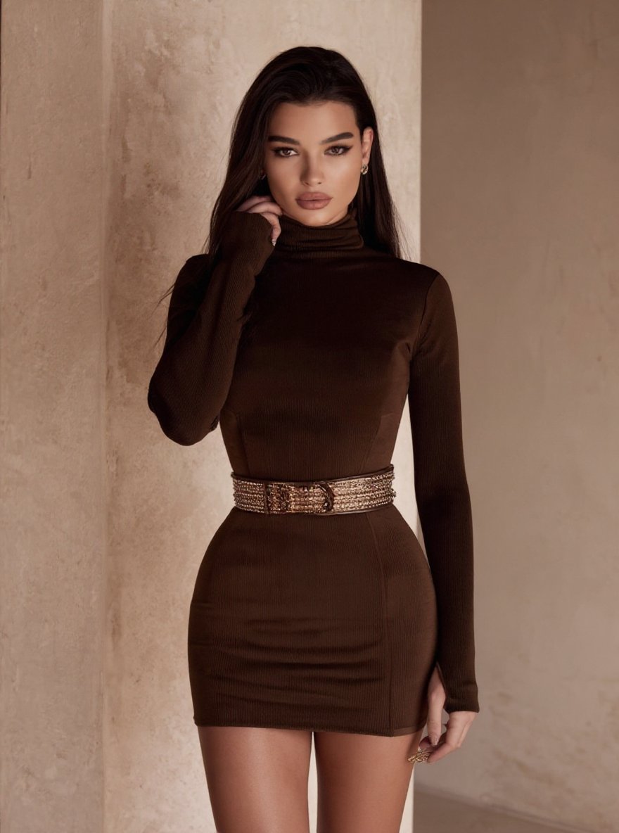 Women's Dress Autumn Chic 2025 Plain High Neck Long Sleeve Bodycon Short Night Out Club Dress