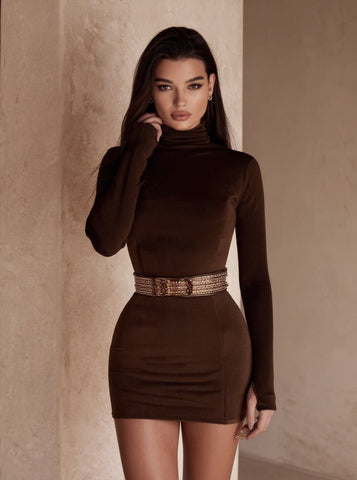 Women's Dress Autumn Chic 2025 Plain High Neck Long Sleeve Bodycon Short Night Out Club Dress