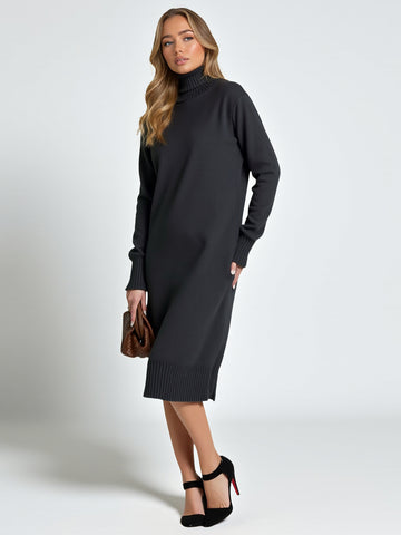 Women's Dresses Autumn Winter Simple Casual Comfortable Plain Rib Knit Long Sleeve Turtleneck Below Knee Daily Shift Dresses