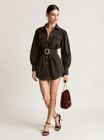 Autumn Dresses 2025 Women's Chic Plain Long Sleeve Shirt Collar Button Through Basics Mini A-Line Dresses