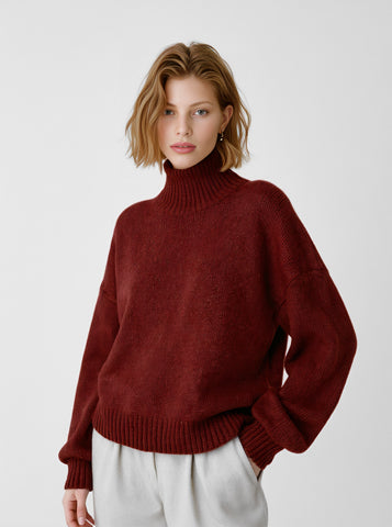 Loose Long Sleeve High Collar Straight Sleeve Winter Sweater Casual Style Regular Length Women's Top Fashion Clothes