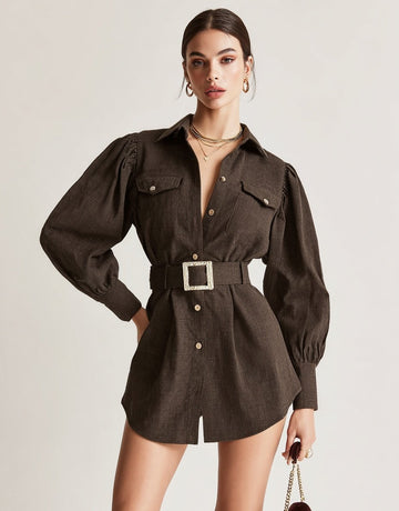 Autumn Dresses 2025 Women's Chic Plain Long Sleeve Shirt Collar Button Through Basics Mini A-Line Dresses