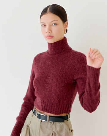 Winter Sweater Tight Fit Long Sleeve High Collar Casual Style Straight Tube Sleeve Regular Length Women's Top Fashion Clothing