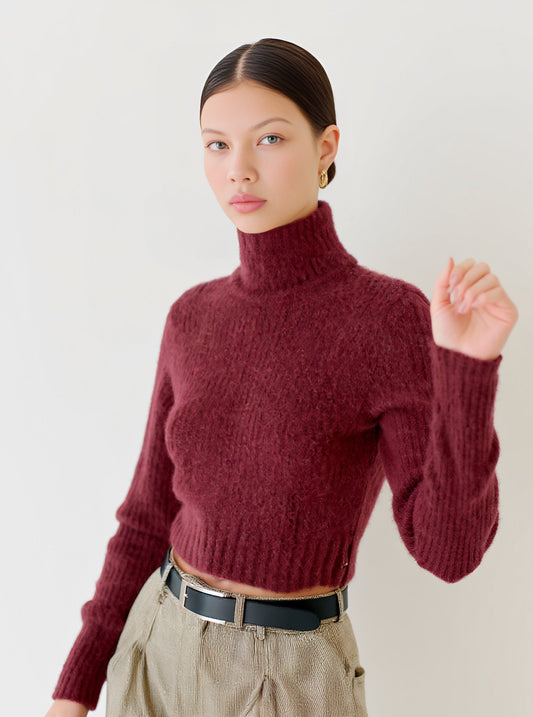 Winter Sweater Tight Fit Long Sleeve High Collar Casual Style Straight Tube Sleeve Regular Length Women's Top Fashion Clothing