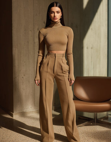 Women's Sets Autumn Casual T-shirt 2025 Plain High Neck Long Sleeve Daily T-shirt