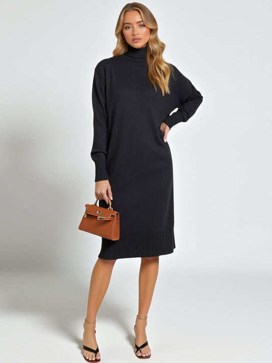 Women's Dresses Autumn Winter Simple Casual Comfortable Plain Rib Knit Long Sleeve Turtleneck Below Knee Daily Shift Dresses