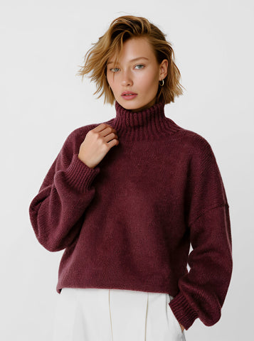 Winter Sweater Casual Long Sleeve High Collar Slim Fit Straight Tube Sleeve Regular Length Top Women's Fashion Clothing