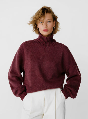 Winter Sweater Casual Long Sleeve High Collar Slim Fit Straight Tube Sleeve Regular Length Top Women's Fashion Clothing