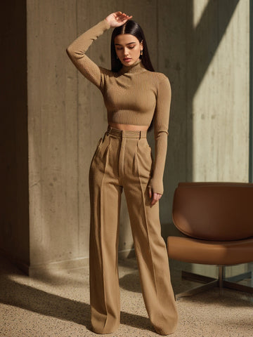 Autumn Pants 2025 Women's Daily Decent Plain Straight High Waist Draped Office Lady Pants