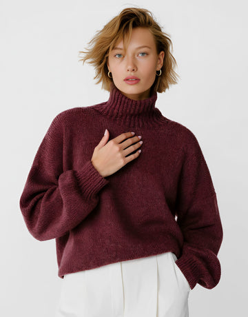 Winter Sweater Casual Long Sleeve High Collar Slim Fit Straight Tube Sleeve Regular Length Top Women's Fashion Clothing