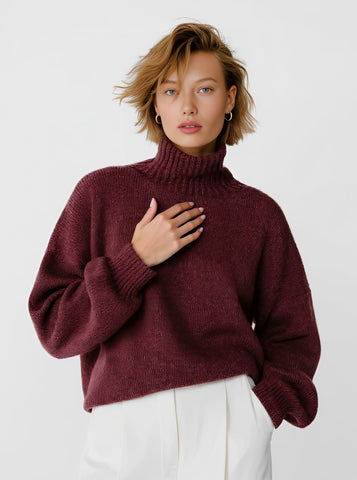 Winter Sweater Casual Long Sleeve High Collar Slim Fit Straight Tube Sleeve Regular Length Top Women's Fashion Clothing